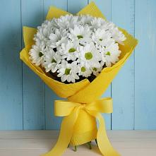 Букет цветов из:  Хризантемы в Дмитровске