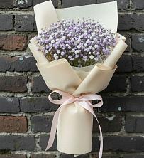 Букет цветов из:  Гипсофила в Дмитровске