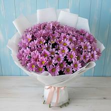 Букет цветов из:  Хризантемы в Дмитровске
