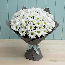 Букет цветов из:  Хризантемы в Дмитровске