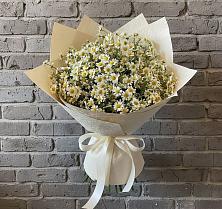 Букет цветов из:  Ромашки в Дмитровске
