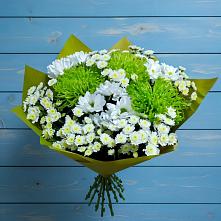 Букет цветов из:  Хризантемы в Дмитровске