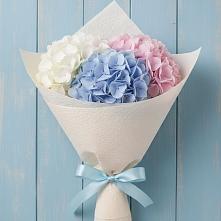 Букет цветов из:  Гортензия в Дмитровске