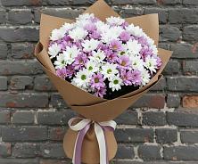 Букет цветов из:  Хризантемы в Дмитровске