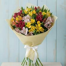 Букет цветов из:  Альстромерии в Дмитровске