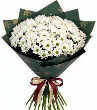 Букет цветов из:  Хризантемы в Дмитровске