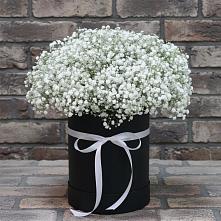 Цветочная композиция из Гипсофила в шляпной коробке #REPLACE_PRED# Дмитровске