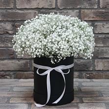 Цветочная композиция из Гипсофила в шляпной коробке в Дмитровске