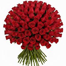 Букет Красные розы Чери Лав в Дмитровске