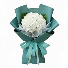 Букет цветов из:  Гортензия в Дмитровске